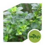 عرق آویشن
