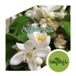 عرق بهار نارنج ویژه